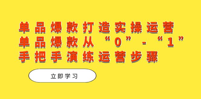 单品爆款打造实操运营，单品爆款从“0”-“1”手把手演练运营步骤-宁率网络知识库