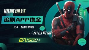 如何通过追剧APP撸金,日入1500+(附素材)-宁率网络知识库
