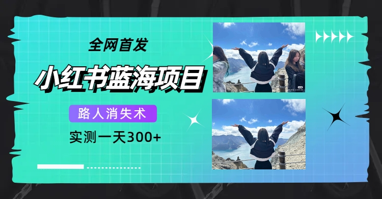 全网首发，小红书蓝海项目，路人消失术，实测一天300+（教程+工具）-宁率网络知识库