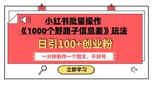 小红书批量操作《1000个野路子信息差》玩法 日引100+创业粉 一分钟一个图文-宁率网络知识库
