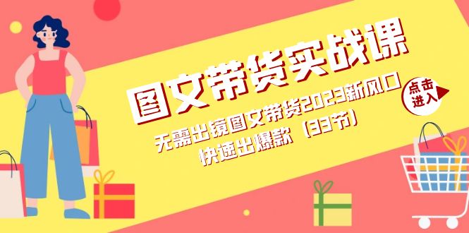 图文带货实战课：无需出镜图文带货2023新风口，快速出爆款（33节）-宁率网络知识库