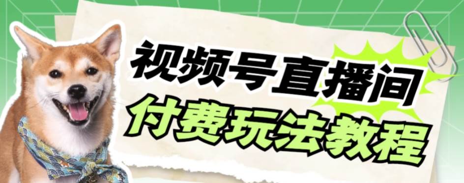视频号美女付费无人直播，轻松日入500+【详细玩-宁率网络知识库