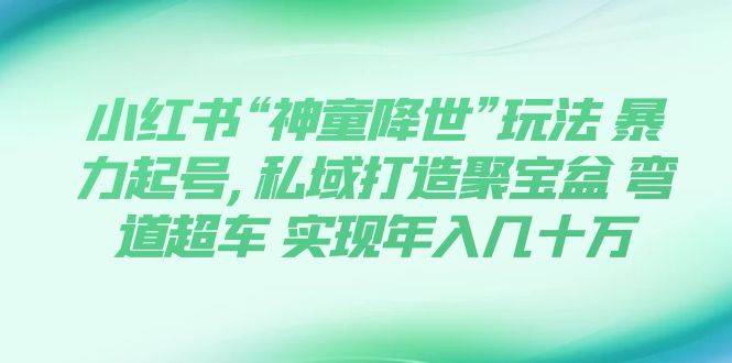 小红书“神童降世”玩法 暴力起号,私域打造聚宝盆 弯道超车 实现年入几十万-宁率网络知识库