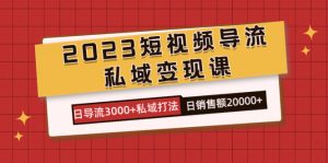 2023短视频导流·私域变现课，日导流3000+私域打法  日销售额2w+-宁率网络知识库