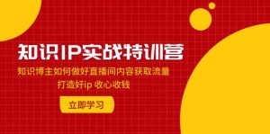 知识IP实战特训营:知识博主如何做好直播间内容获取流量 打造好ip 收心收钱-宁率网络知识库