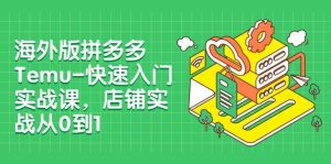 海外版拼多多Temu-快速入门实战课，店铺实战从0到1（12节课）-宁率网络知识库