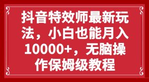 抖音特效师最新玩法，小白也能月入10000+，无脑操作保姆级教程-宁率网络知识库