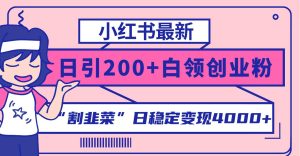 小红书最新日引200+创业粉”割韭菜“日稳定变现4000+实操教程!-宁率网络知识库