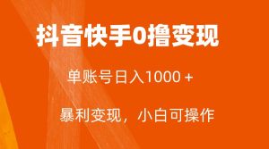 全网首发，单账号收益日入1000＋，简单粗暴，保底5元一单，可批量单操作-宁率网络知识库