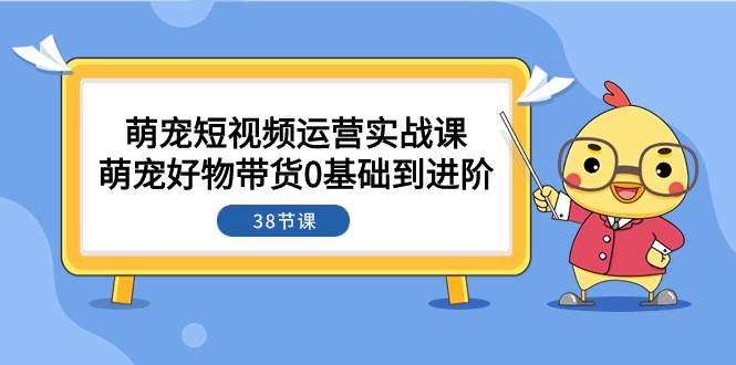 萌宠·短视频运营实战课：萌宠好物带货0基础到进阶（38节课）-宁率网络知识库