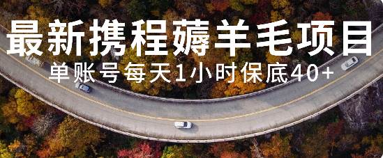 最新携程薅羊毛项目，单账号每天1小时保底收益40+，可矩阵操作-宁率网络知识库