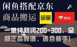 闲鱼搭配京东备份库搬运,一单纯利润200-300,全部正品靠谱,适合新手!-宁率网络知识库