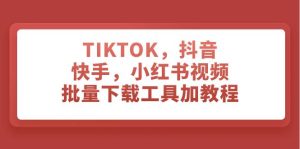 TIKTOK，抖音，快手，小红书视频批量下载工具加教程-宁率网络知识库