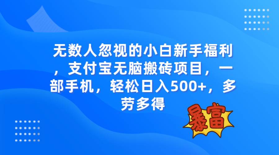 无数人忽视的项目，支付宝无脑搬砖项目，一部手机即可操作，轻松日入500+-宁率网络知识库