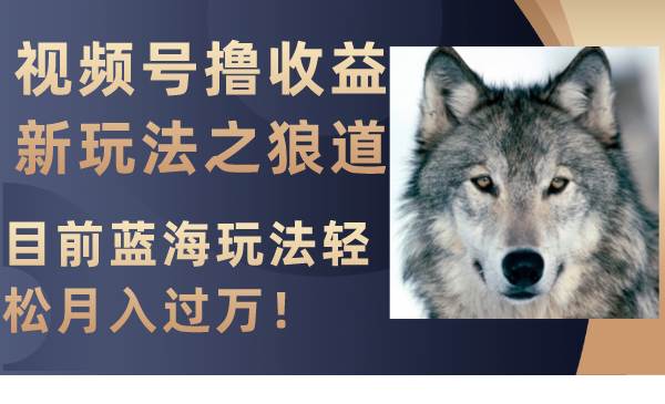 视频号撸收益新玩法之狼道，目前蓝海玩法轻松月入过万！-宁率网络知识库