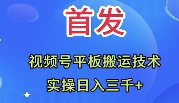全网首发：视频号平板搬运技术，实操日入三千＋-宁率网络知识库