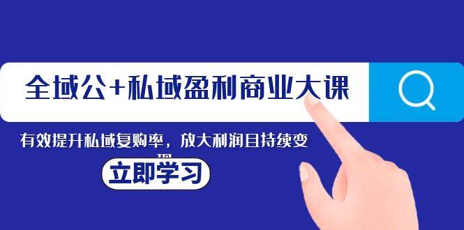 全域公+私域盈利商业大课，有效提升私域复购率，放大利润且持续变现-宁率网络知识库