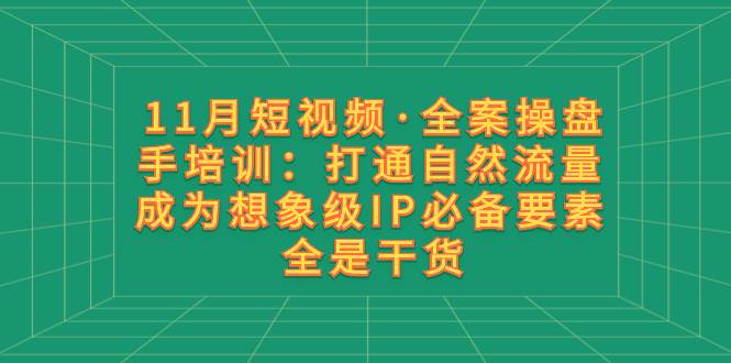 11月短视频·全案操盘手培训：打通自然流量 成为想象级IP必备要素 全是干货-宁率网络知识库