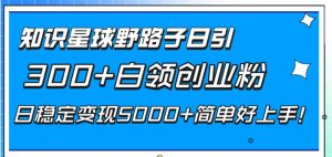 知识星球野路子日引300+白领创业粉,日稳定变现5000+简单好上手!-宁率网络知识库