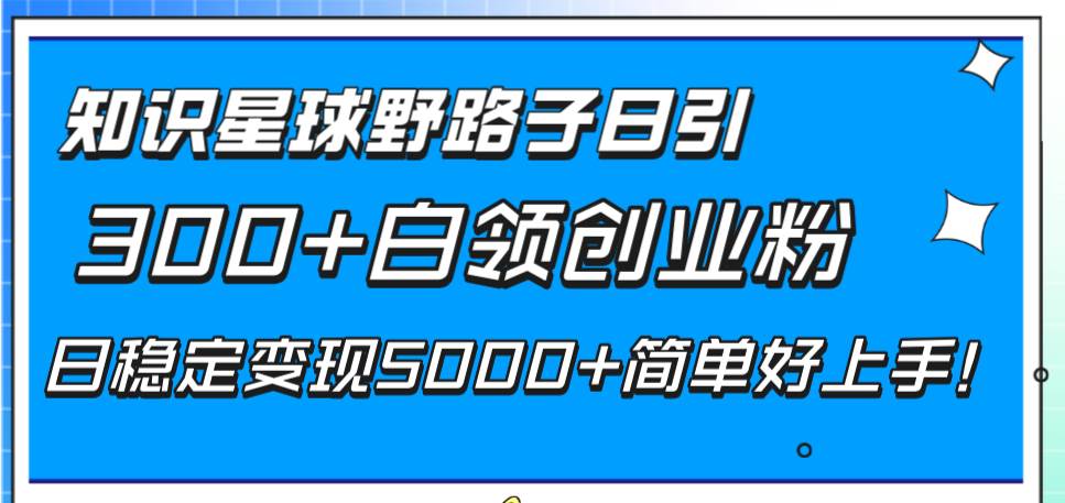 知识星球野路子日引300+白领创业粉，日稳定变现5000+简单好上手！-宁率网络知识库