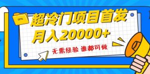 超级冷门项目，粤语动画赛道，十分钟一个原创视频，简单易上手 实测月入1w+-宁率网络知识库