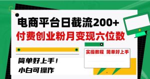 电商平台日截流200+付费创业粉,月变现六位数简单好上手!-宁率网络知识库