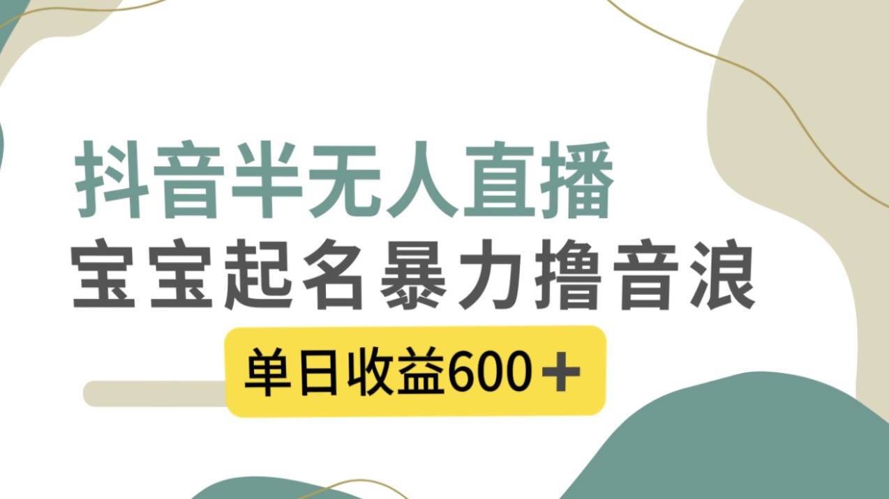 抖音半无人直播，宝宝起名，暴力撸音浪，单日收益600+-宁率网络知识库