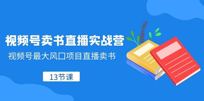视频号-卖书直播实战营，视频号最大风囗项目直播卖书（13节课）-宁率网络知识库