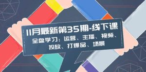 11月最新-35期-线下课：全盘学习：运营、主播、视频、投放、打爆品、场景-宁率网络知识库