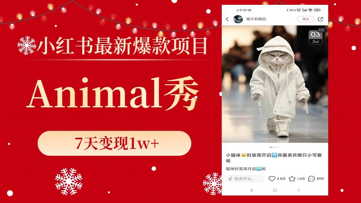 小红书最新爆款项目，Animal秀，7天变现1w+-宁率网络知识库