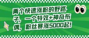 两个快速涨粉的野路子,一个特效+神奇布偶,粉丝暴涨5000起!-宁率网络知识库