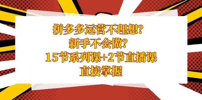 拼多多运营不理想？新手不会做？15节系列课+2节直播课，直接掌握-宁率网络知识库