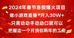 2024年春节寒假爆火项目,普通小白如何通过小游戏直播做到月入30W+-宁率网络知识库