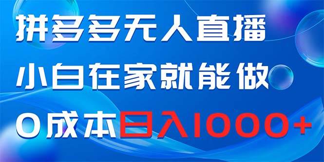 拼多多无人直播，小白在家就能做，0成本日入1000+-宁率网络知识库