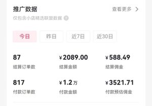 过年新风口 用ai春联图文  日入600+  小白轻松上手-宁率网络知识库