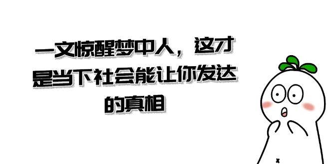 某公众号付费文章《一文 惊醒梦中人，这才是当下社会能让你发达的真相》-宁率网络知识库