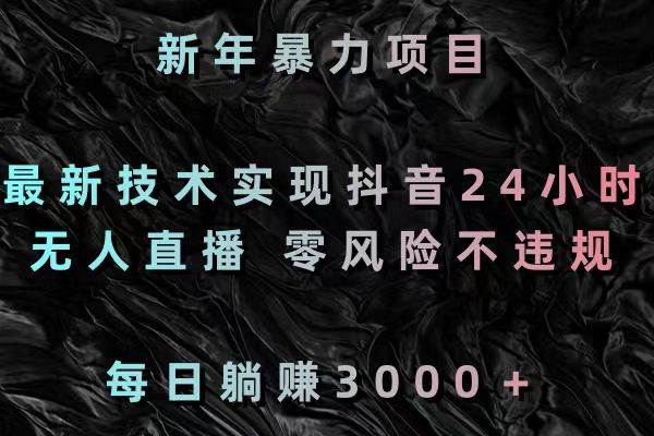 新年暴力项目，最新技术实现抖音24小时无人直播 零风险不违规 每日躺赚3000-宁率网络知识库
