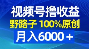 视频号野路子撸收益，100%原创，条条爆款，月入6000＋-宁率网络知识库
