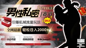 全网最新男性私密赛道玩法，引爆私域流量，轻松日入2000+-宁率网络知识库