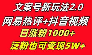 文案号新玩法 网易热评+抖音文案 一天涨粉1000+ 多种变现模式 泛粉也可变现-宁率网络知识库