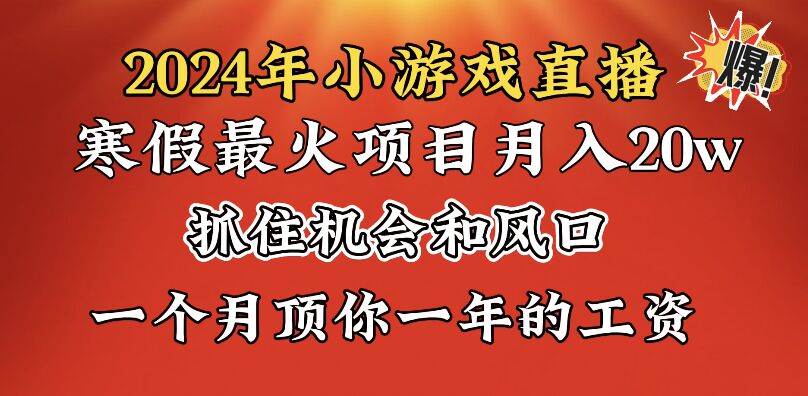 2024年寒假爆火项目，小游戏直播月入20w+，学会了之后你将翻身-宁率网络知识库