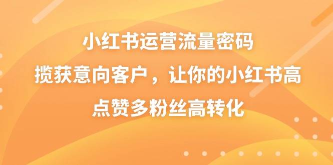 小红书运营流量密码，揽获意向客户，让你的小红书高点赞多粉丝高转化-宁率网络知识库