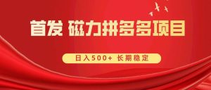 首发 磁力拼多多自撸  日入500+-宁率网络知识库