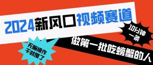 2024新风口视频赛道 做第一批吃螃蟹的人 10分钟一条原创视频 小白无脑操作1-宁率网络知识库