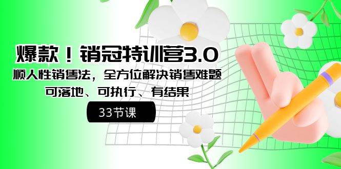 爆款！销冠特训营3.0之顺人性销售法，全方位解决销售难题、可落地、可执行、有结果-宁率网络知识库