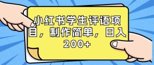 小红书学生评语项目，制作简单，日入200+（附资源素材）-宁率网络知识库