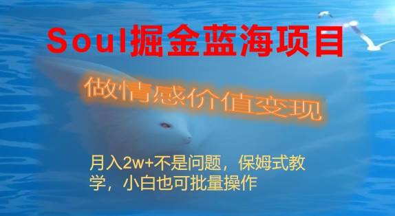 Soul掘金蓝海项目细分赛道，做情感价值变现，月入2w+不是问题-宁率网络知识库