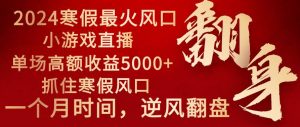 2024年最火寒假风口项目 小游戏直播 单场收益5000+抓住风口 一个月直接提车-宁率网络知识库
