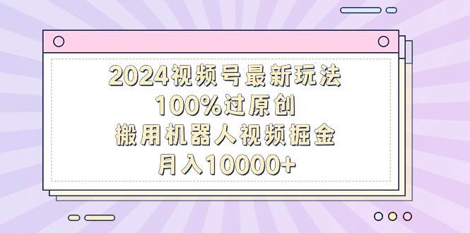 2024视频号最新玩法，100%过原创，搬用机器人视频掘金，月入10000+-宁率网络知识库