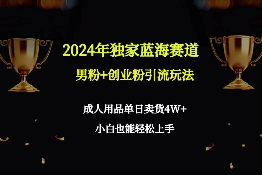 2024年独家蓝海赛道男粉+创业粉引流玩法，成人用品单日卖货4W+保姆教程-宁率网络知识库